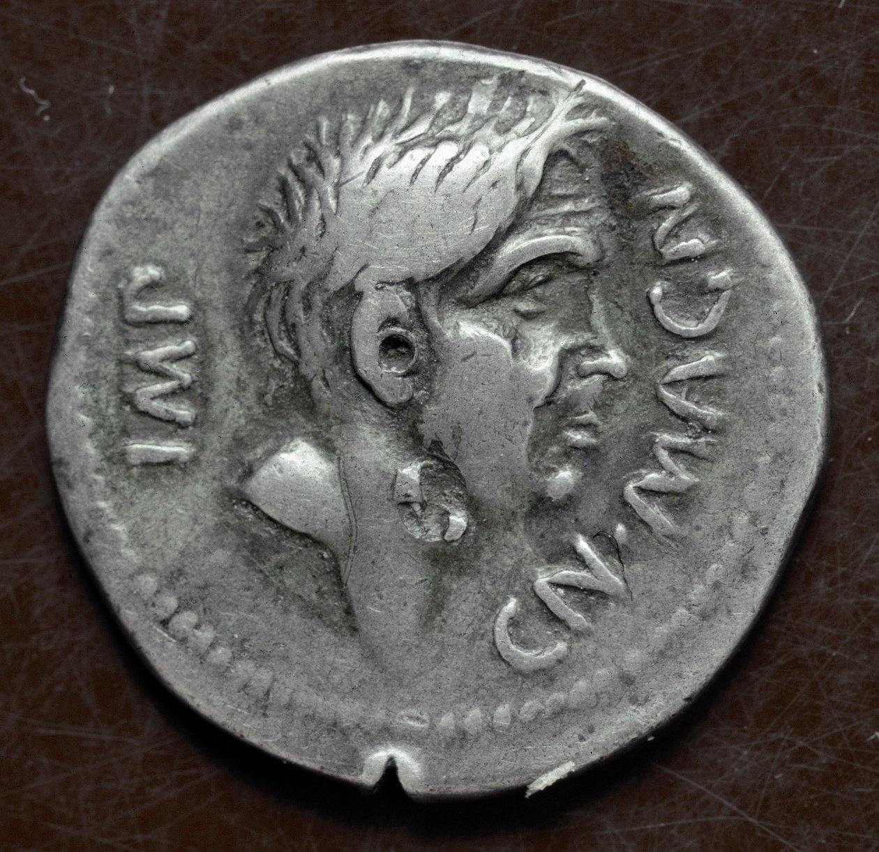 ポンペイ大王の肖像が描かれた銀貨（Gneo Pompeo MagnoまたはGnaeus Pompeius Magnus 作： 小説