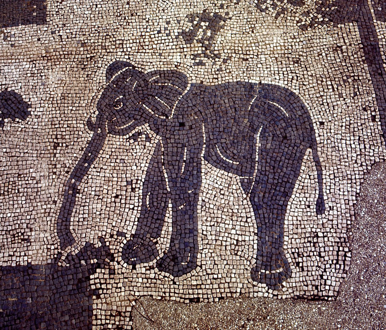 古代のオスティア（Ostia）。Place des Corporations（企業広場）。サブラタの船員公社のモザイク。 作： ローマンローマン