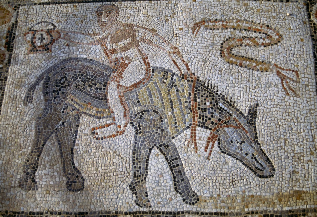 Desultor (atleta que pulava de um cavalo para outro durante a corrida) montado em um burro para trás e segurando kantharos (taça do vencedor), mosaico na Casa do Desultor na cidade romana de Volubilis (Patrimônio Mundial da UNESCO 作： ローマンローマン