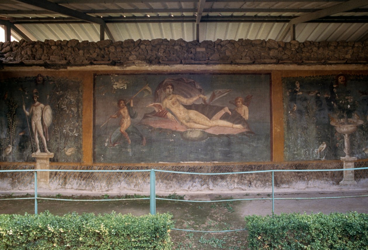 絵画　貝殻 貝殻の水彩画アートプリント：海岸沿いのビーチハウスの装飾