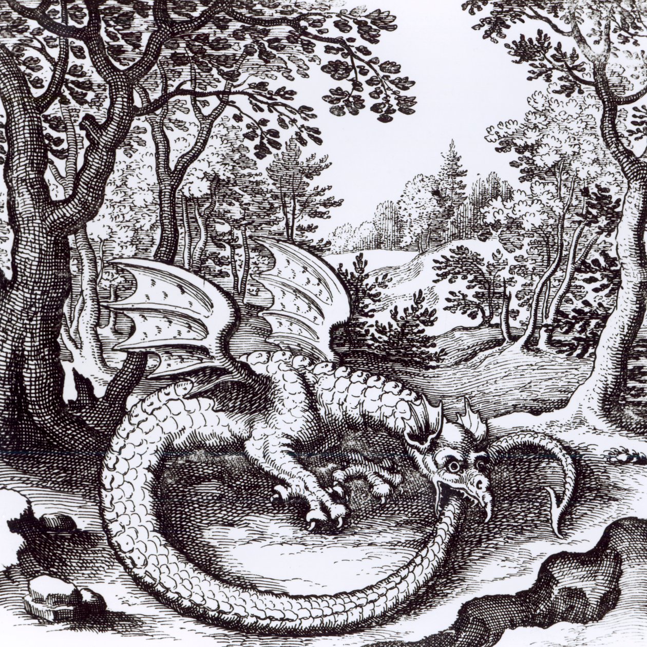森の中のドラゴン、バジルバレンタイン作「Musaeum Hermeticum Reformatum」（1678年） 作： ロシア語学校