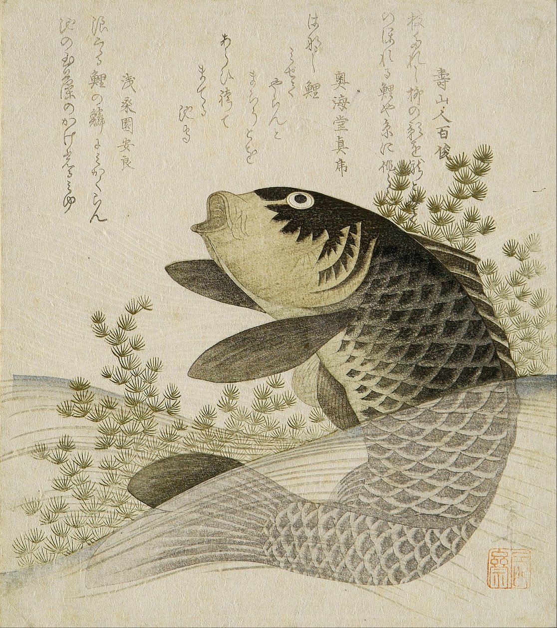 池の植物の間で鯉 作： 流竜峡心斎