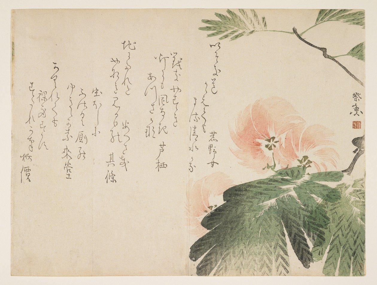 開花シルクの木、c.1830-43（色木版画） 作： 西行