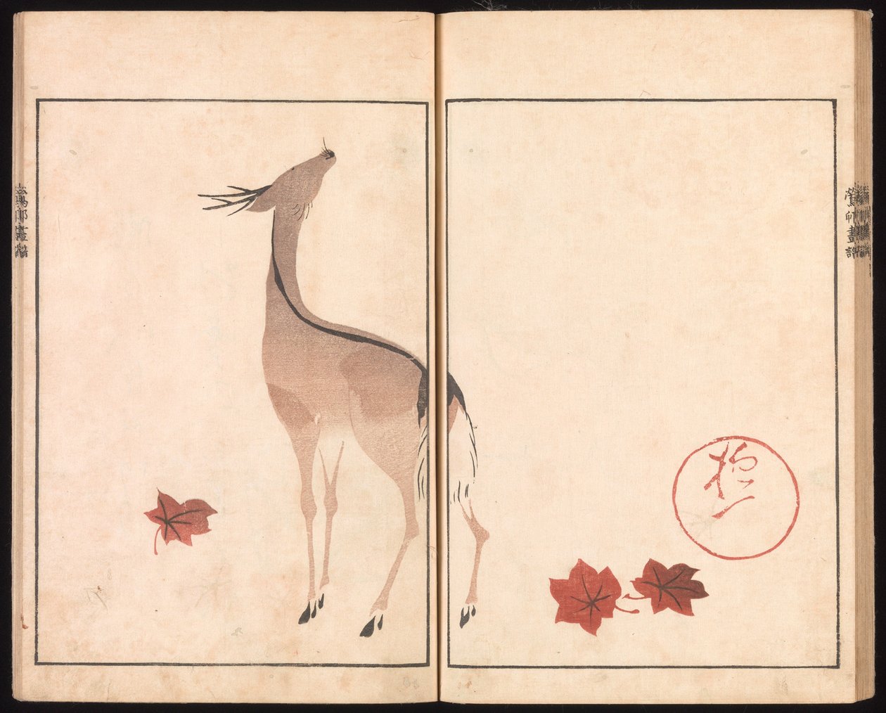 Ōson（Hōitsu）画譜（Ōson gafu） 作： 酒井抱一