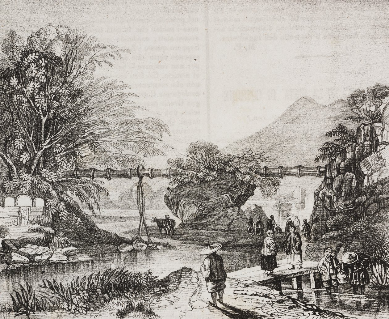 View of Hong Kong valley, China, lithograph by Salvatore Puglia from Poliorama Pittoresco, n 14, November 9   1458434   ja       japanese Successfully Translated  Original: Moonlight Woods (ink on paper) Translat: Moonlight Woods (ink on paper) 1449986 ja  作： サルヴァトーレ・プーリア