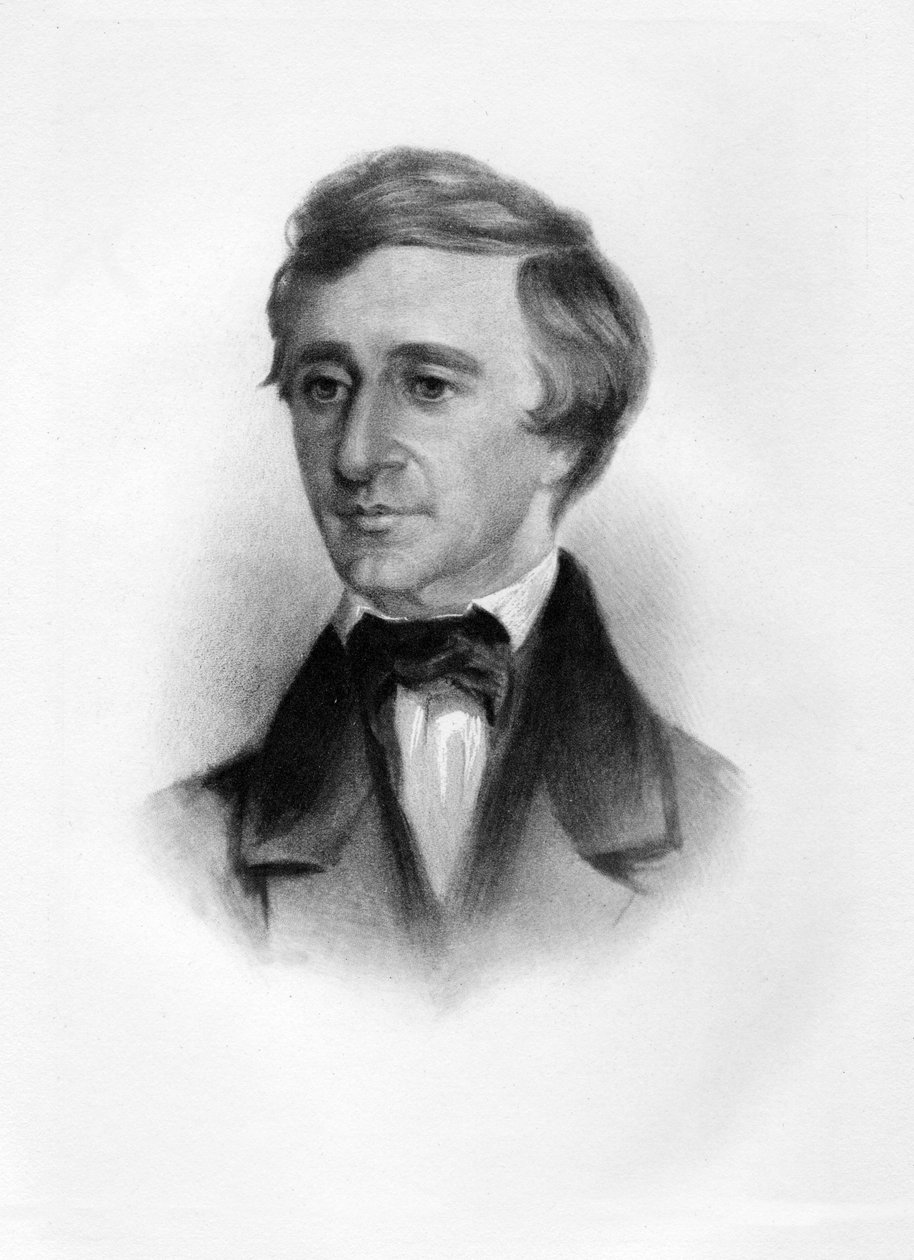 ヘンリーデビッドソロー、パブ。 C. 1854 作： サミュエル・ウスター・ロウズ