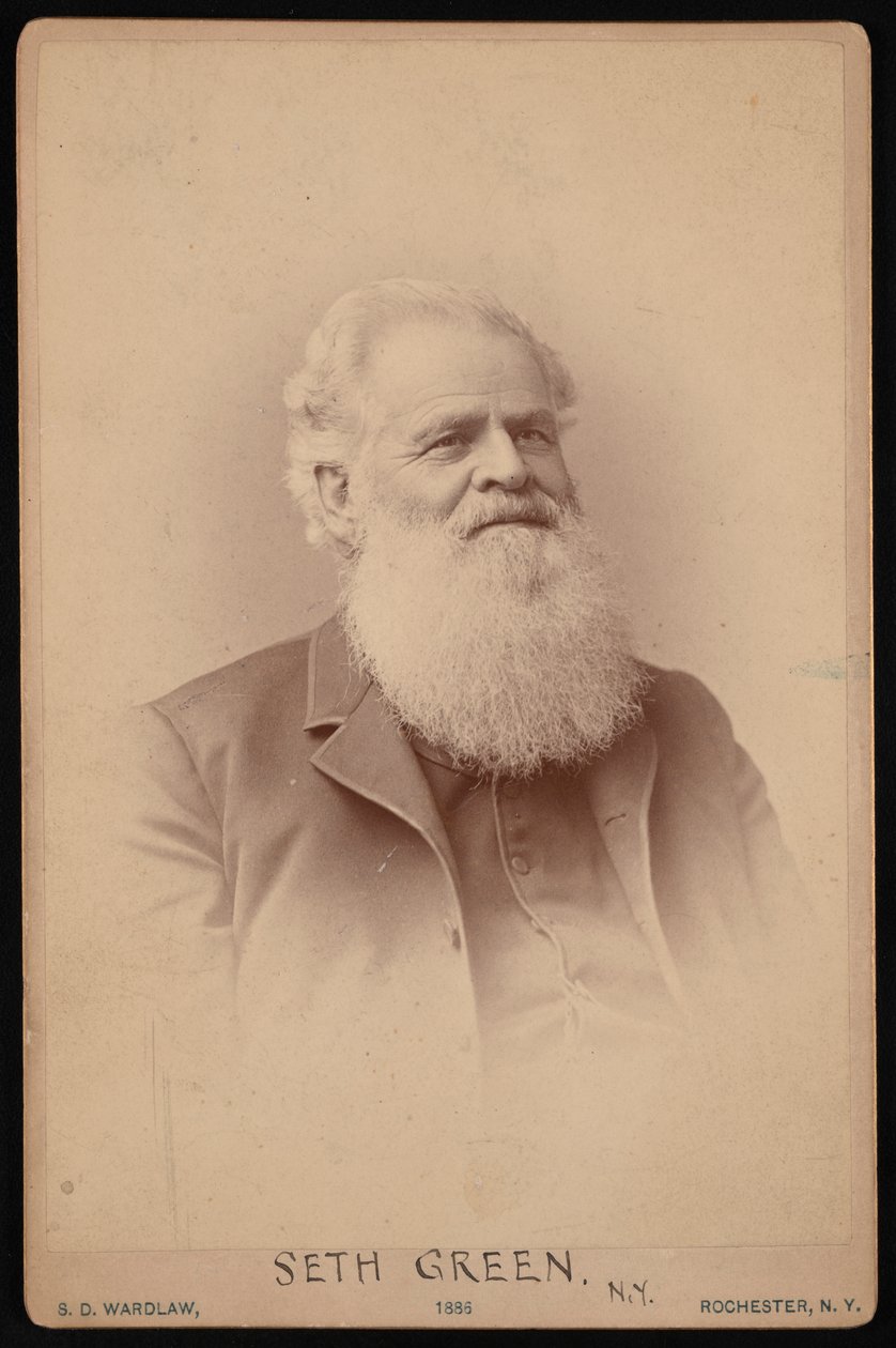 セス・グリーンの肖像 1817-1888, 1886. 作： サミュエルDワードロー