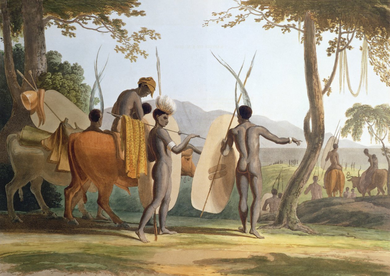 3月、「アフリカの風景と動物」のプレート5、1804年に彫刻されたアーティスト（アクアチント） 作： サミュエル・ダニエル