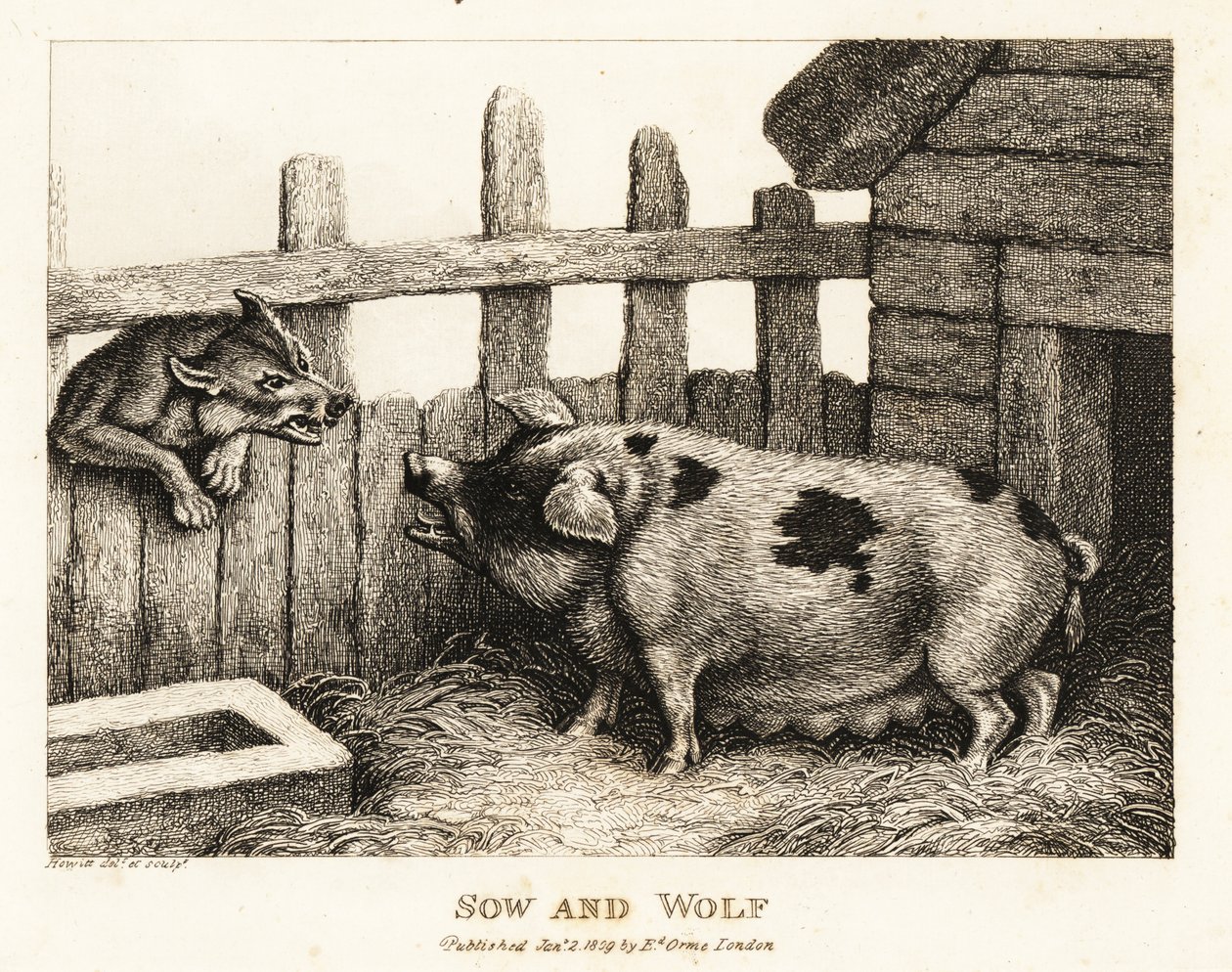 オオカミにうなる豚舎の大きな雌豚。 1811年（エッチング） 作： サミュエル・ハウィット