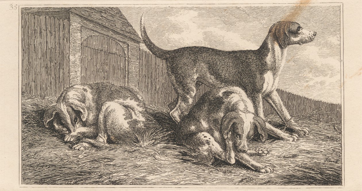 Three Dogs   1447435   ja       japanese Successfully Translated  Original: A series of sketches, views in Great Britain, the Continent and America 1772-1778 (watercolor) Translat: A series of sketches, views in Great Britain, the Continent and America 177 作： サミュエル・ハウィット