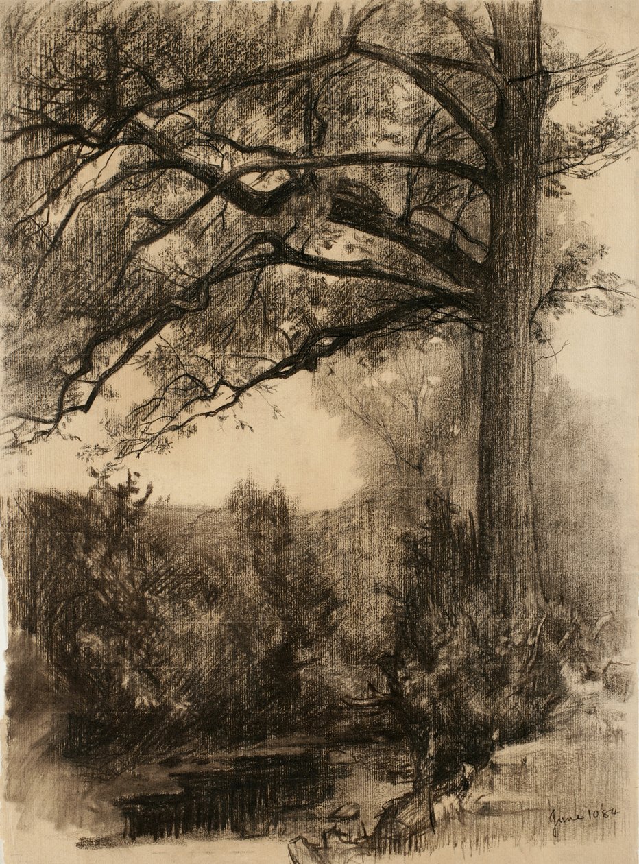 大きな木のある風景、1884年（バフレイド紙に木炭） 作： サミュエル・イシャム