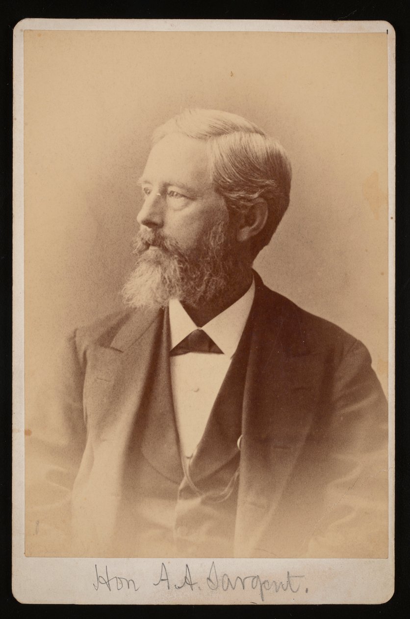 アーロン・オーガスタス・サージェントの肖像、1827～1887年、1876～1880年。 作： サミュエル・モンタギュー・ファセット