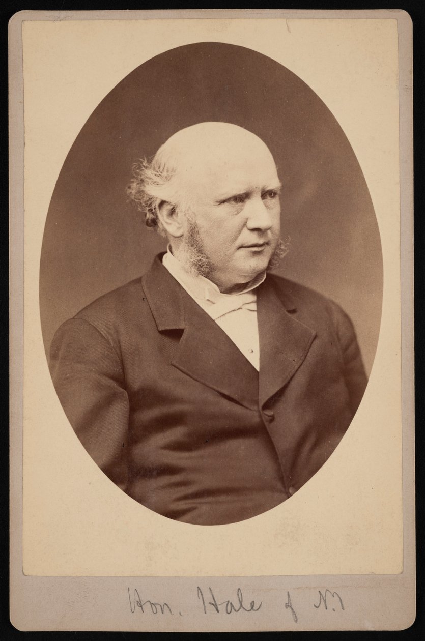 ロバート・サフォード・ヘイルの肖像、1822～1881年、1881年以前。 作： サミュエル・モンタギュー・ファセット