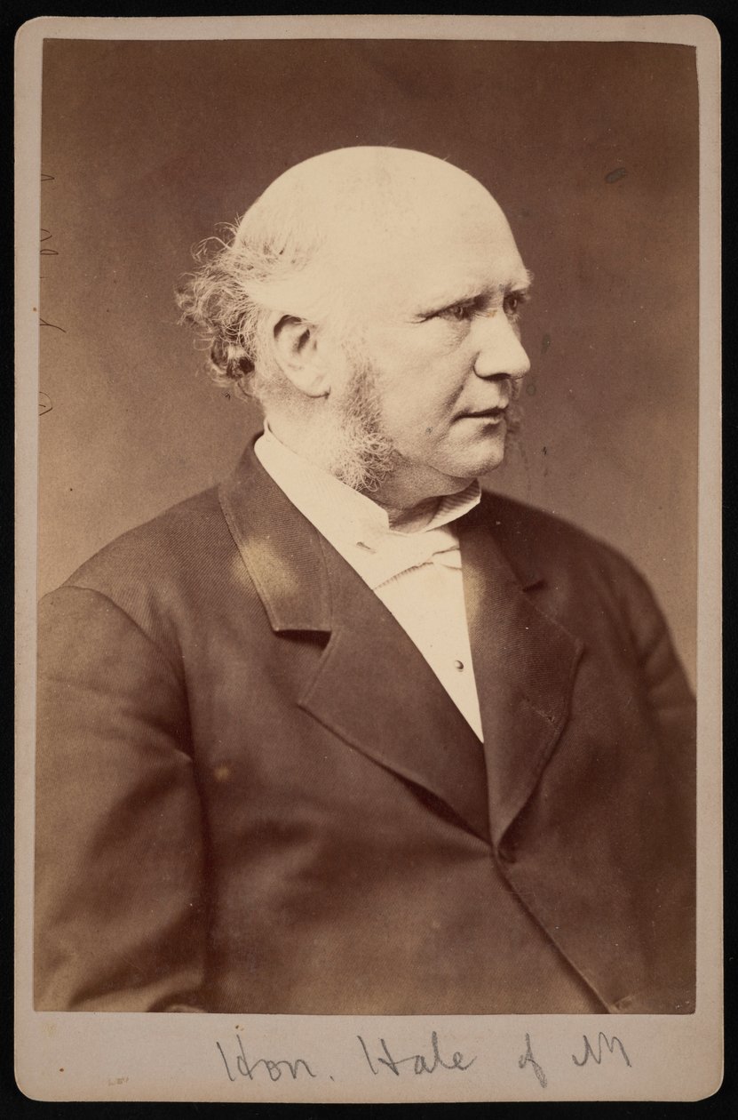 ロバート・サフォード・ヘイルの肖像、1822～1881年、1881年以前。 作： サミュエル・モンタギュー・ファセット