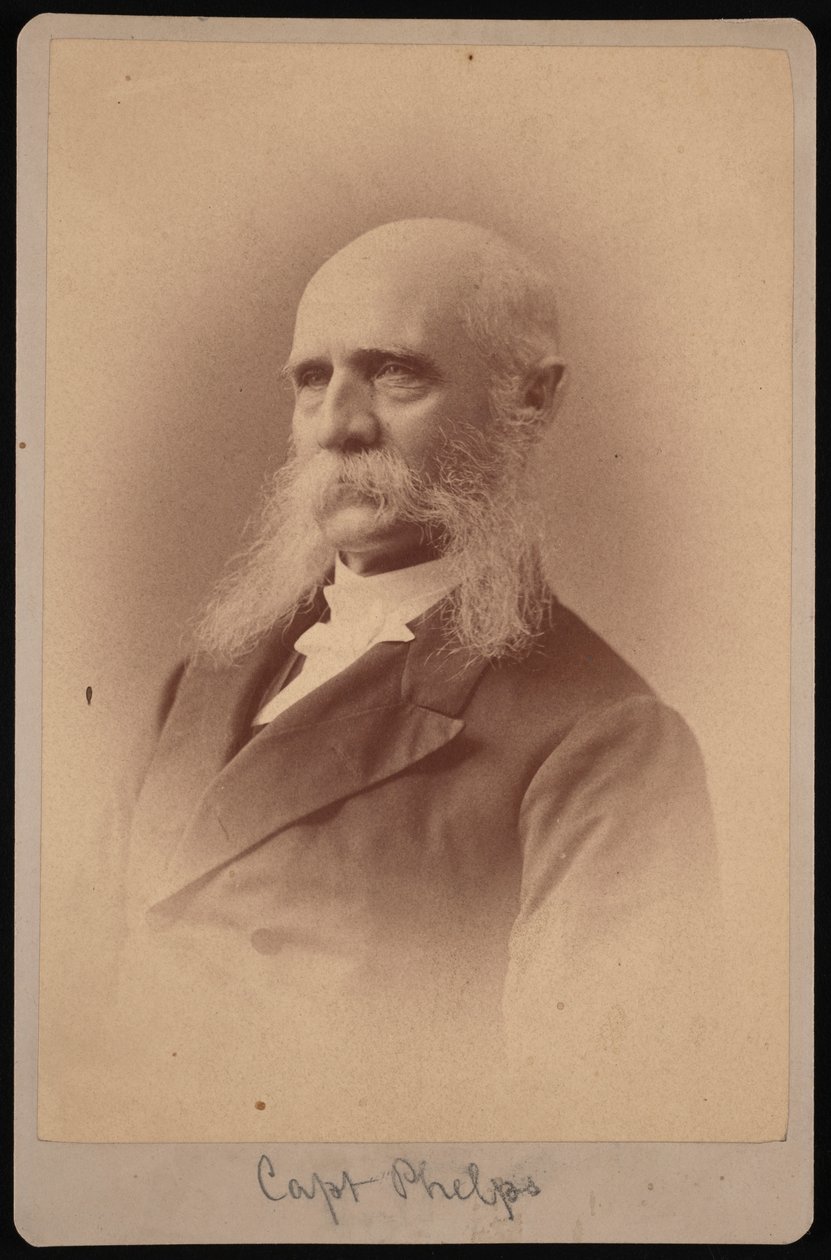 セス・レドヤード・フェルプスの肖像 1824-1885, 1878. 作： サミュエル・モンタギュー・ファセット