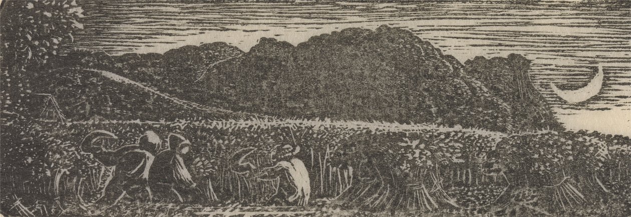 Harvest under a Crescent Moon   1444493   ja       japanese Successfully Translated  Original: Illustration by Dinet from Mirages Scenes of Arab life. 1906. Mirages, Scénes De La Vie Arab was illustrated by Etienne Dinet with commentary by Silman Ben Ibrah 作： サミュエルパーマー