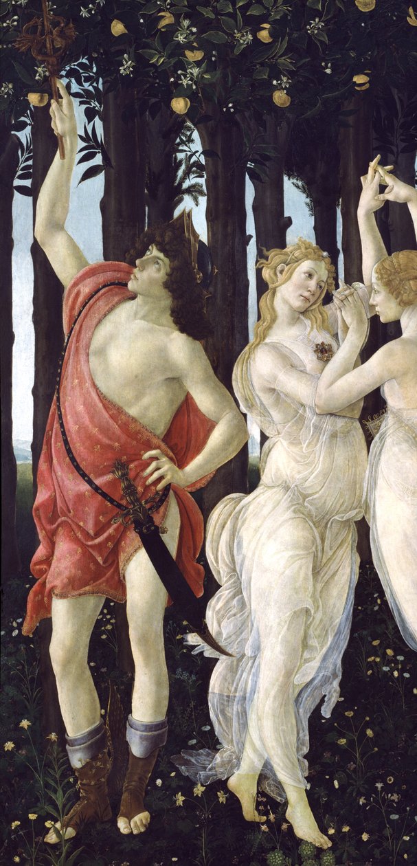 Primavera、c.1478、tempera、パネル詳細558 作： Sandro Botticelli