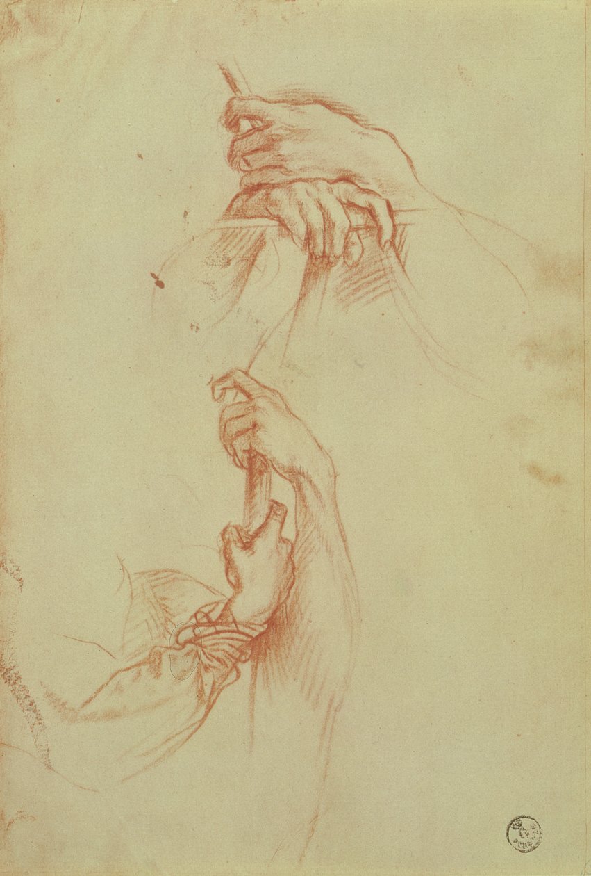 若い男性の手に関する2つの研究（赤いチョーク） 作： Sandro Botticelli