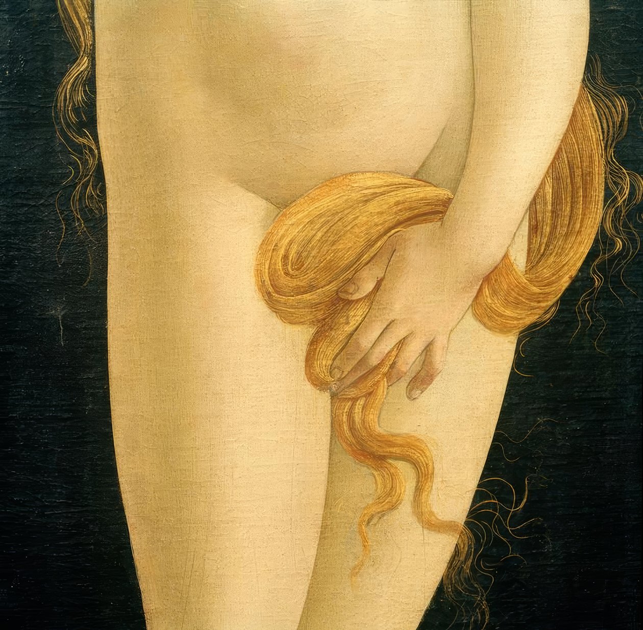 金星（手と髪） 作： Sandro Botticelli