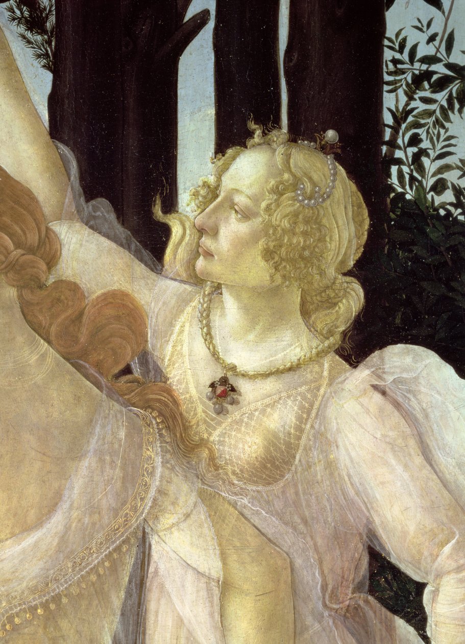 558のパネル詳細のプリマベーラテンペラからの三美神の1つの詳細 作： Sandro Botticelli