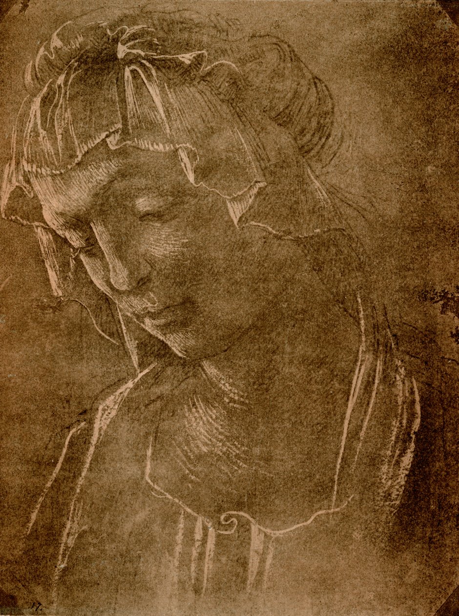 女性の頭 作： Sandro Botticelli