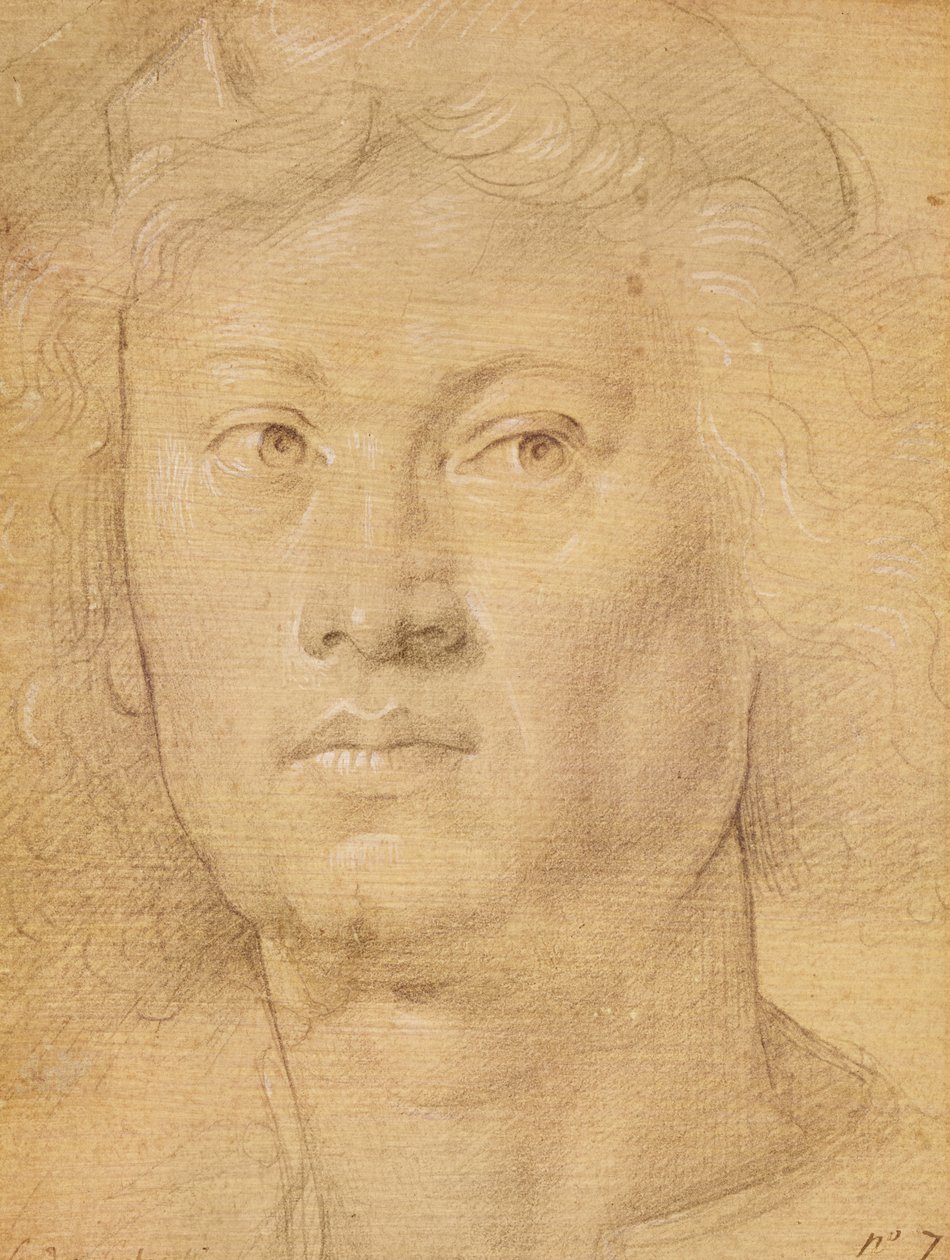 天使の頭（紙に鉛筆とクレヨン） 作： Sandro Botticelli