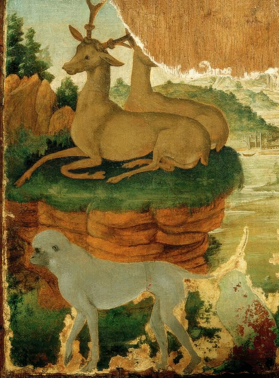 ローバックとサルのいる風景 作： Sandro Botticelli