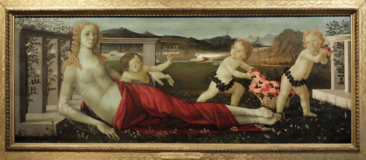 不明な画像 作： Sandro Botticelli
