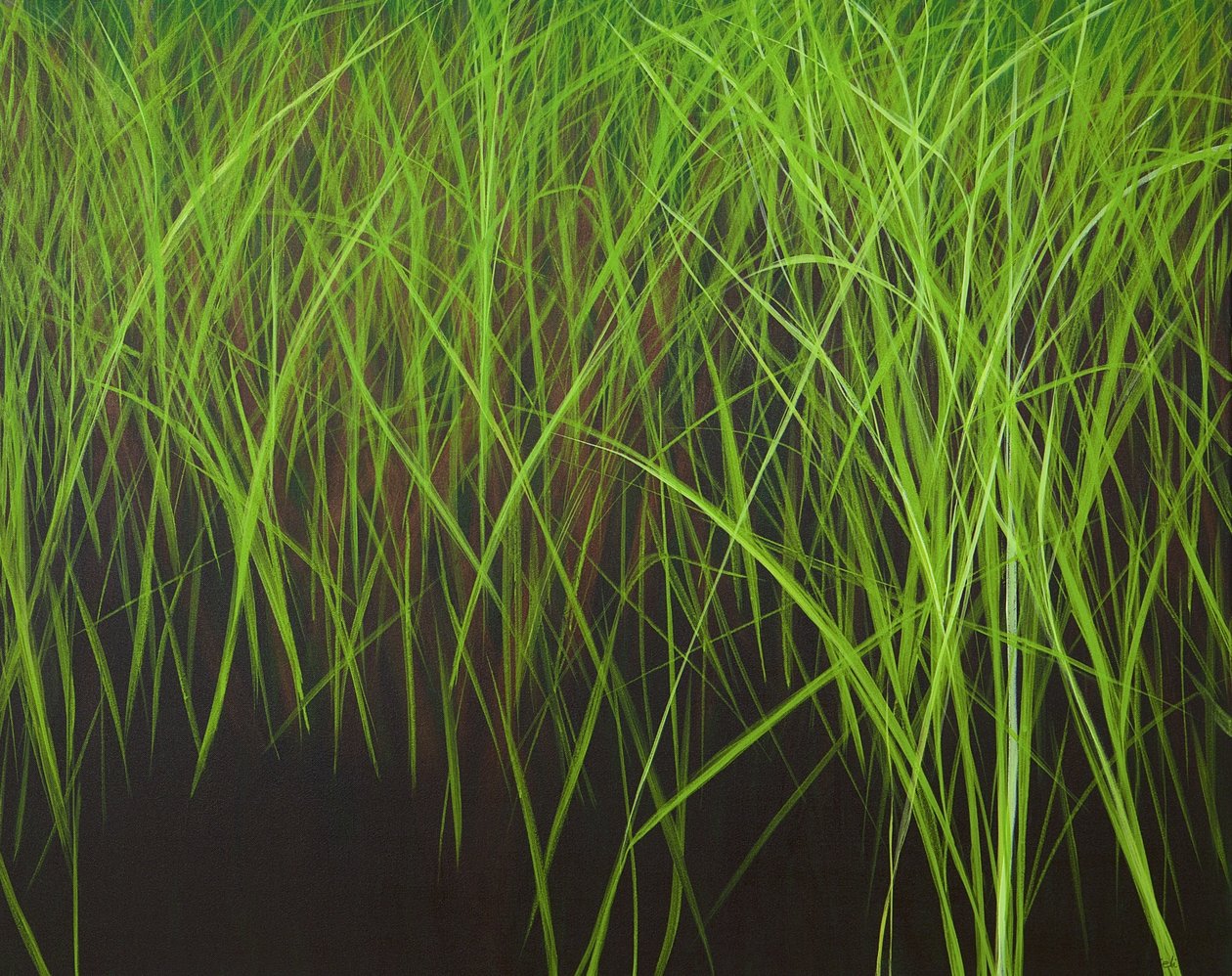 Fresh Grass, 2016（キャンバスにアクリル絵具） 作： 