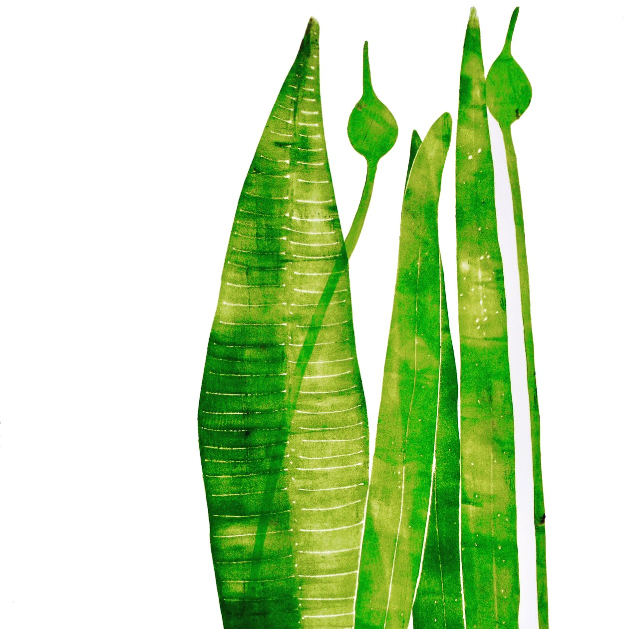 Long green things」（モノプリント）2020年 作： サラ・トンプソン-エンゲルス