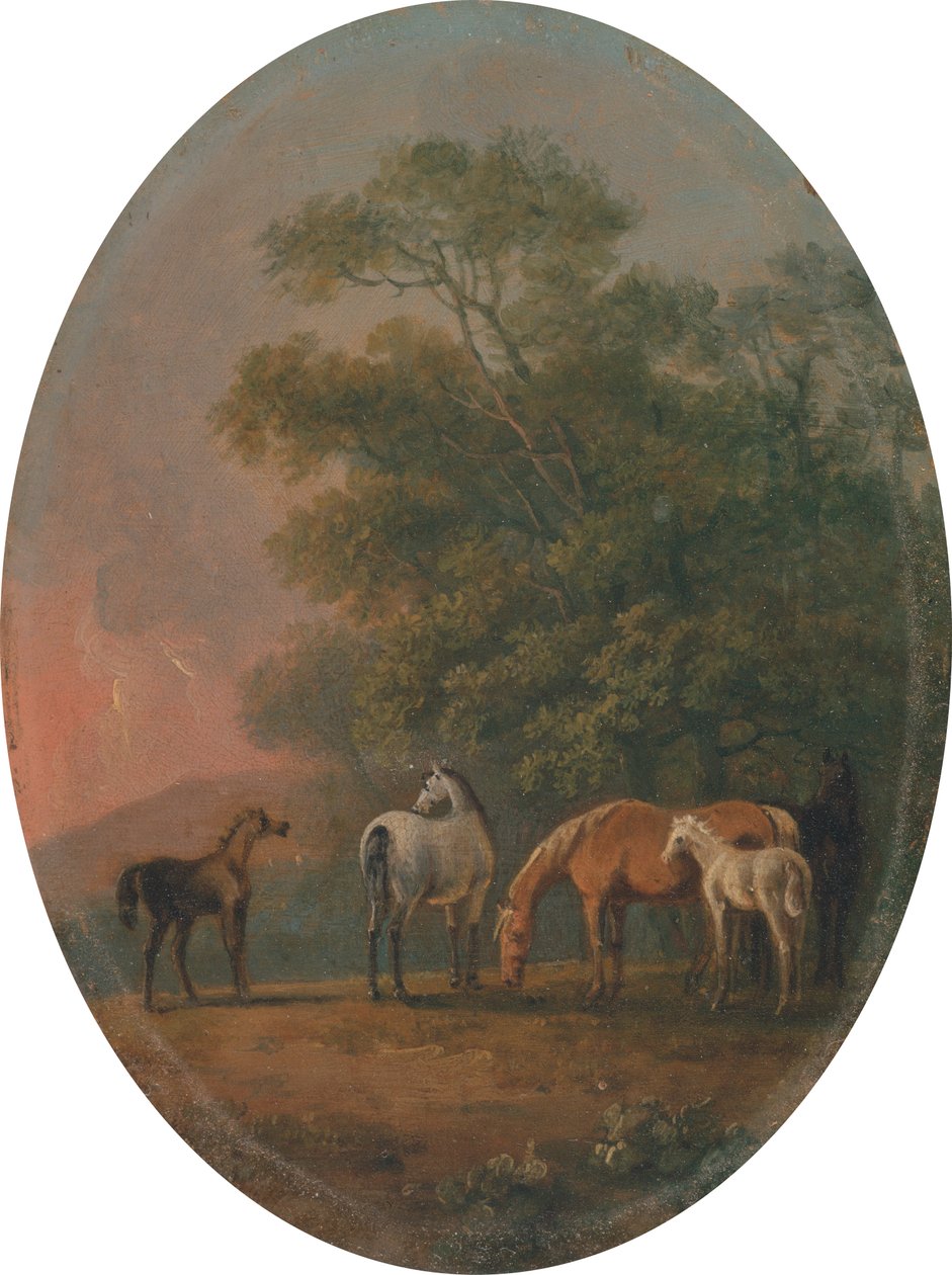 牝馬と子馬[1795年、ロンドン王立芸術アカデミー、展覧会カタログ] 作： ソーリーギルピン