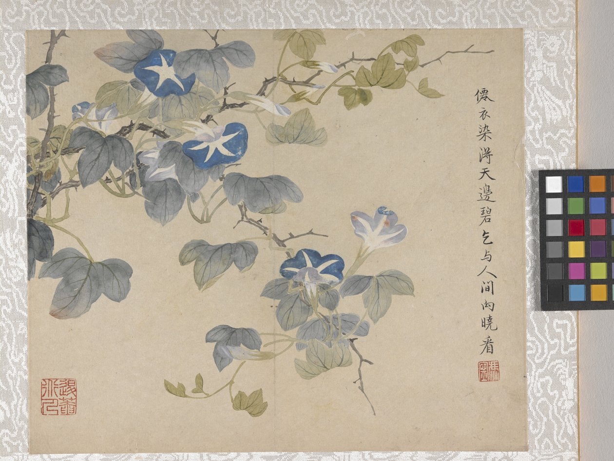 8 Leaf Album Of Flowers、1700年代中頃（紙にインク、彩色） 作： 学校の中国語