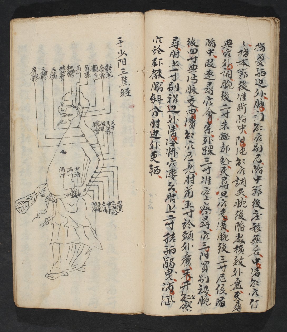 腕、首、頭の付け根にあるツボ。18世紀初頭、中国南部、紙に墨で描かれている。 作： 学校の中国語