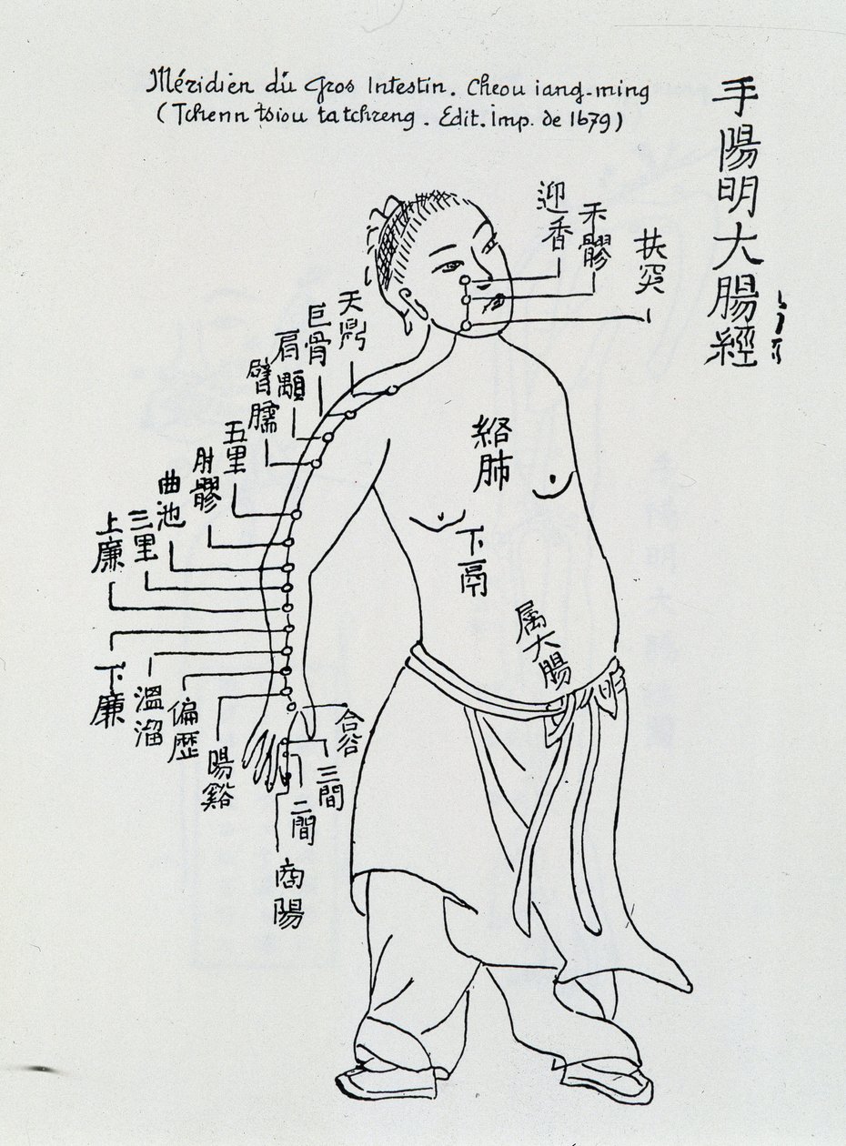 中国の鍼灸治療：大腸 作： 学校の中国語