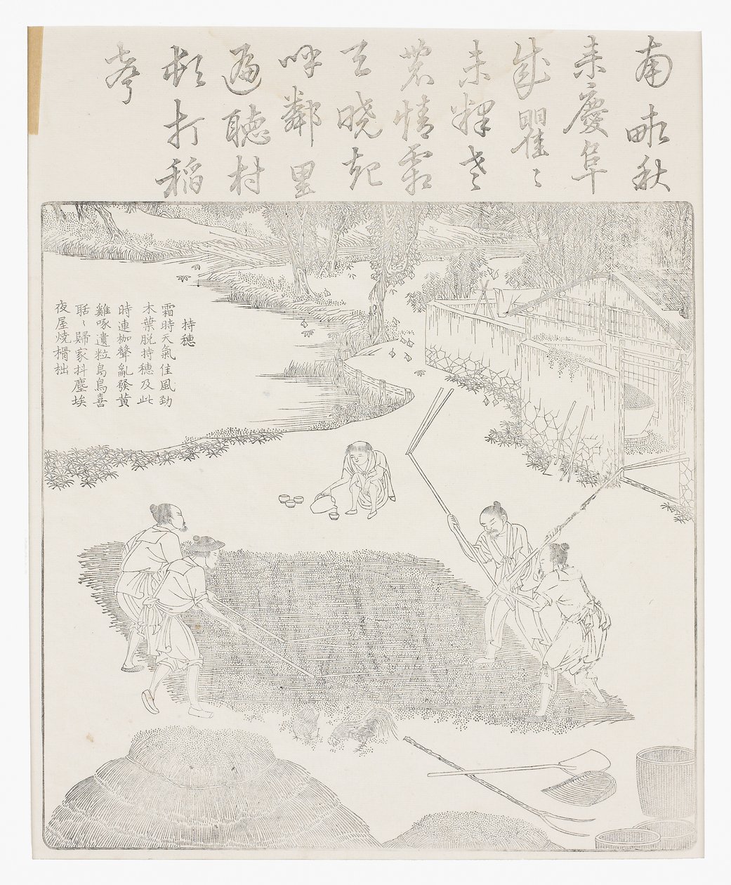 ご飯を剥ぎ取る 作： 学校の中国語