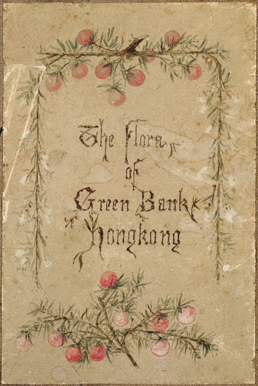  作： 学校の中国語