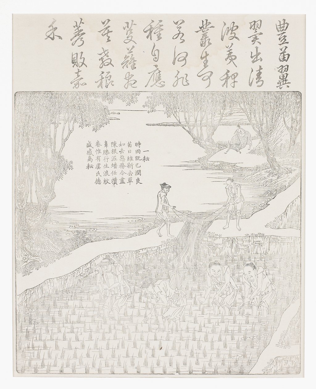 米の灌漑 作： 学校の中国語