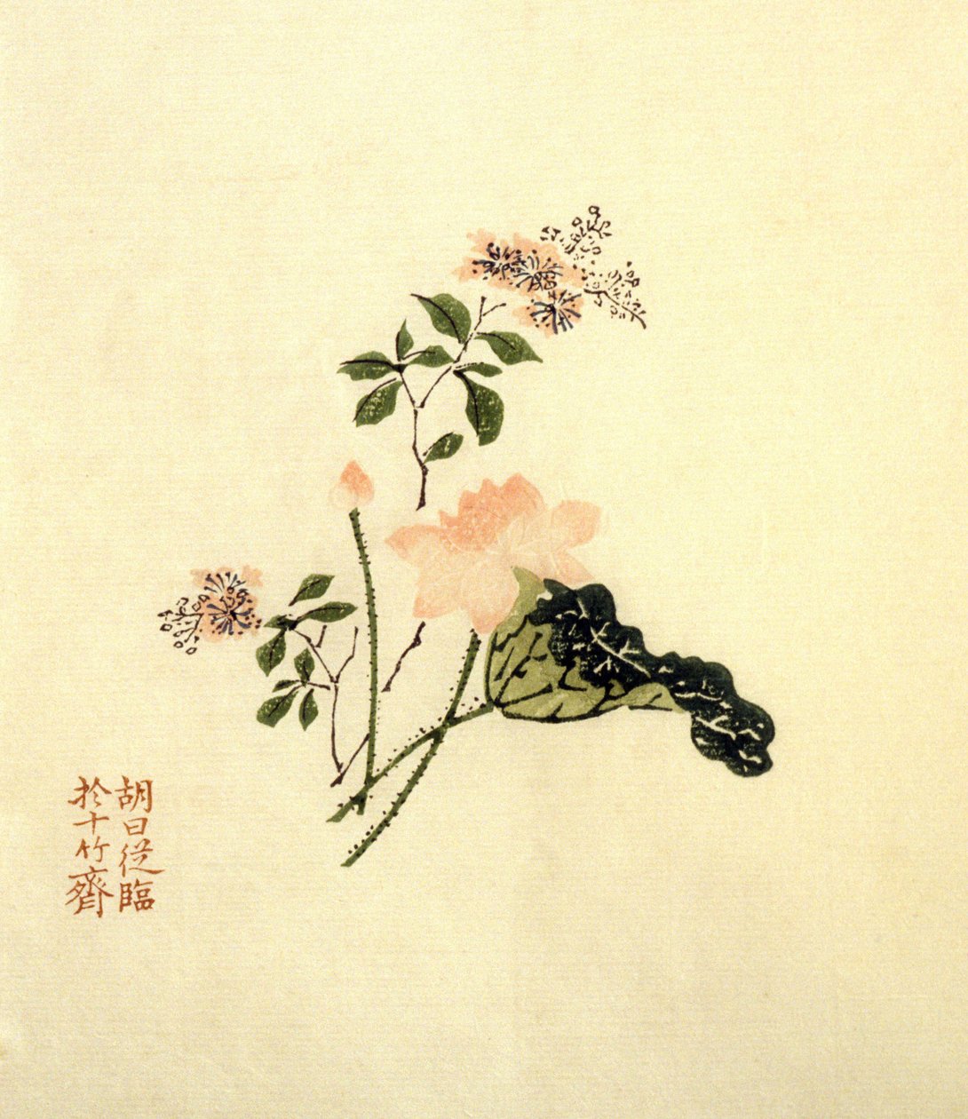蓮の花-紙にインク、中国 蓮の花-紙にインク、中国 作： 学校の中国語
