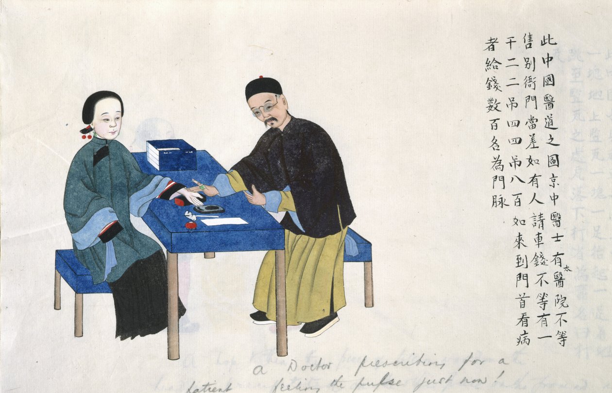 または 11539 fol.89v 中国の生活風景のアルバムから脈をとる (紙に水彩) 作： 学校の中国語