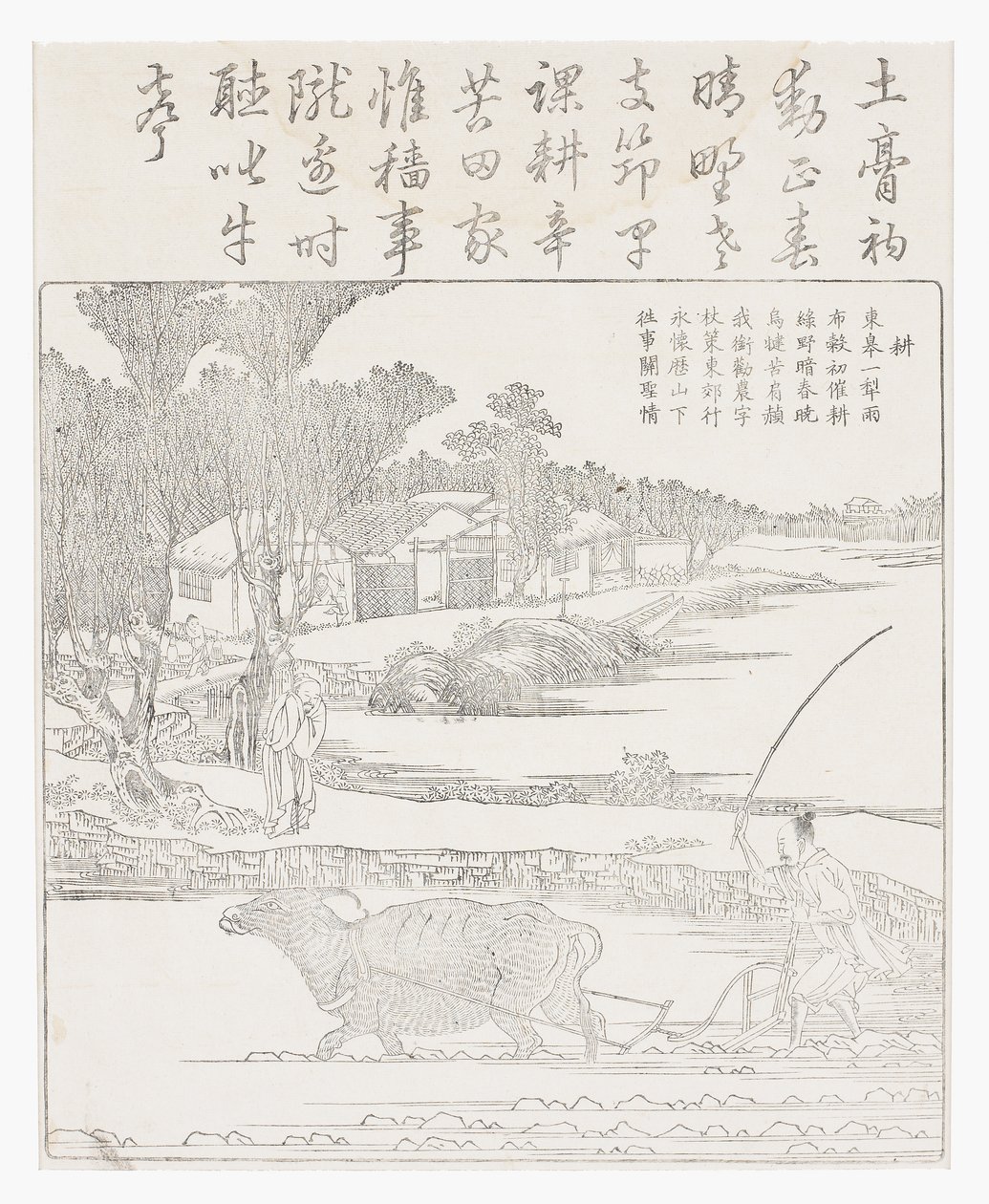泥だらけの水田で水牛を耕します。 作： 学校の中国語