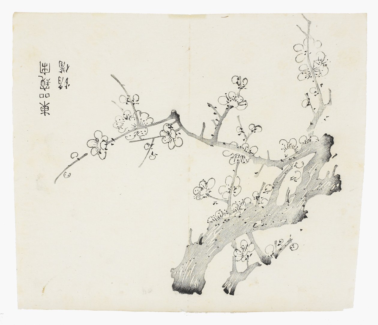 天竹シリーズ 作： 学校の中国語