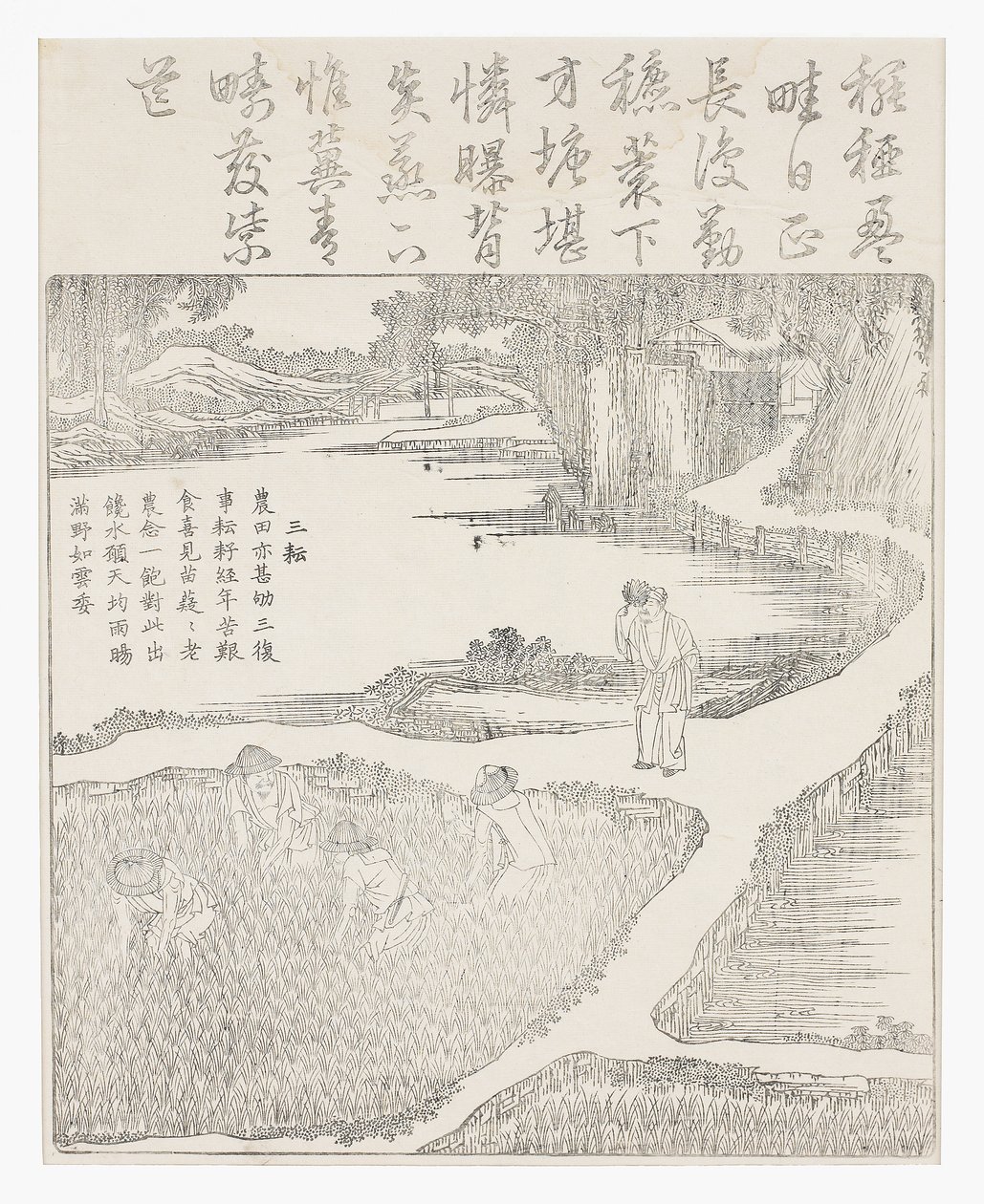 水田で働く 作： 学校の中国語