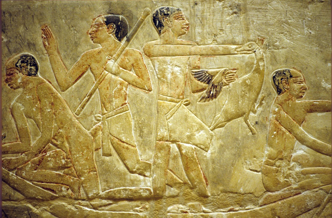 古代エジプト、壁の彫刻／絵画、イドゥートのマスタバ／墓、サッカラ／サッカラ、沼地で鳥を捕らえる、第6王朝（写真） 作： 学校エジプト人
