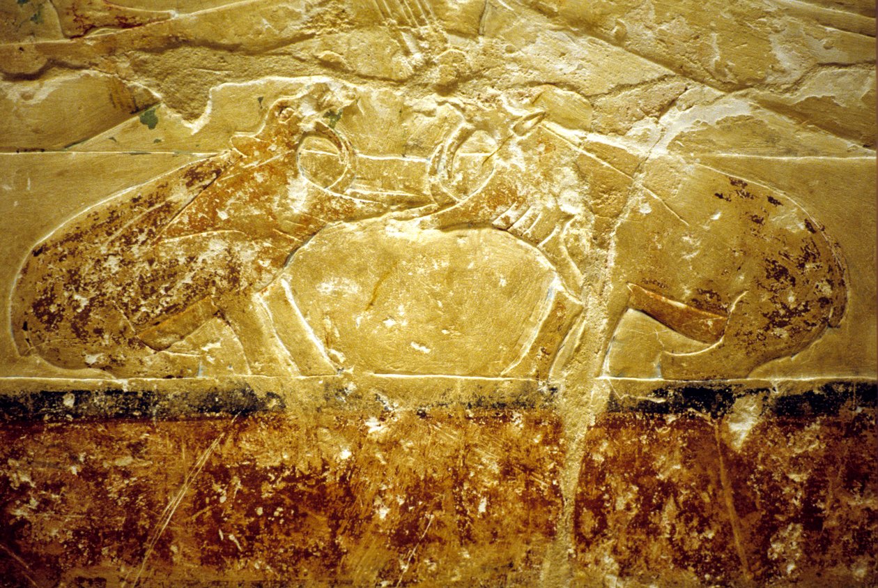 古代エジプト、壁面彫刻／絵画、イドウトのマスタバ／墓、サッカラ、第6王朝、闘う2頭のカバ（写真） 作： 学校エジプト人