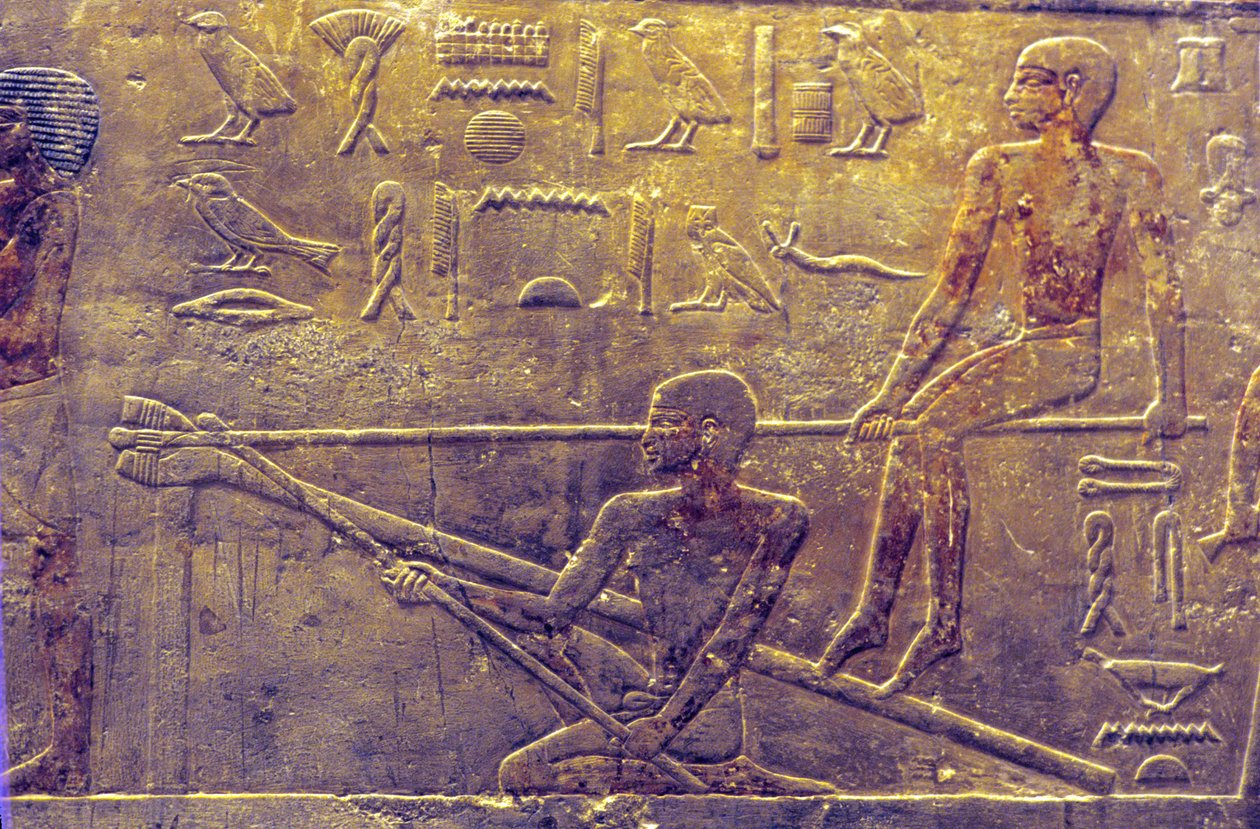 古代エジプト、壁面彫刻／絵画、ティのマスタバ／墓、サッカラ、第5王朝、造船（写真） 作： 学校エジプト人