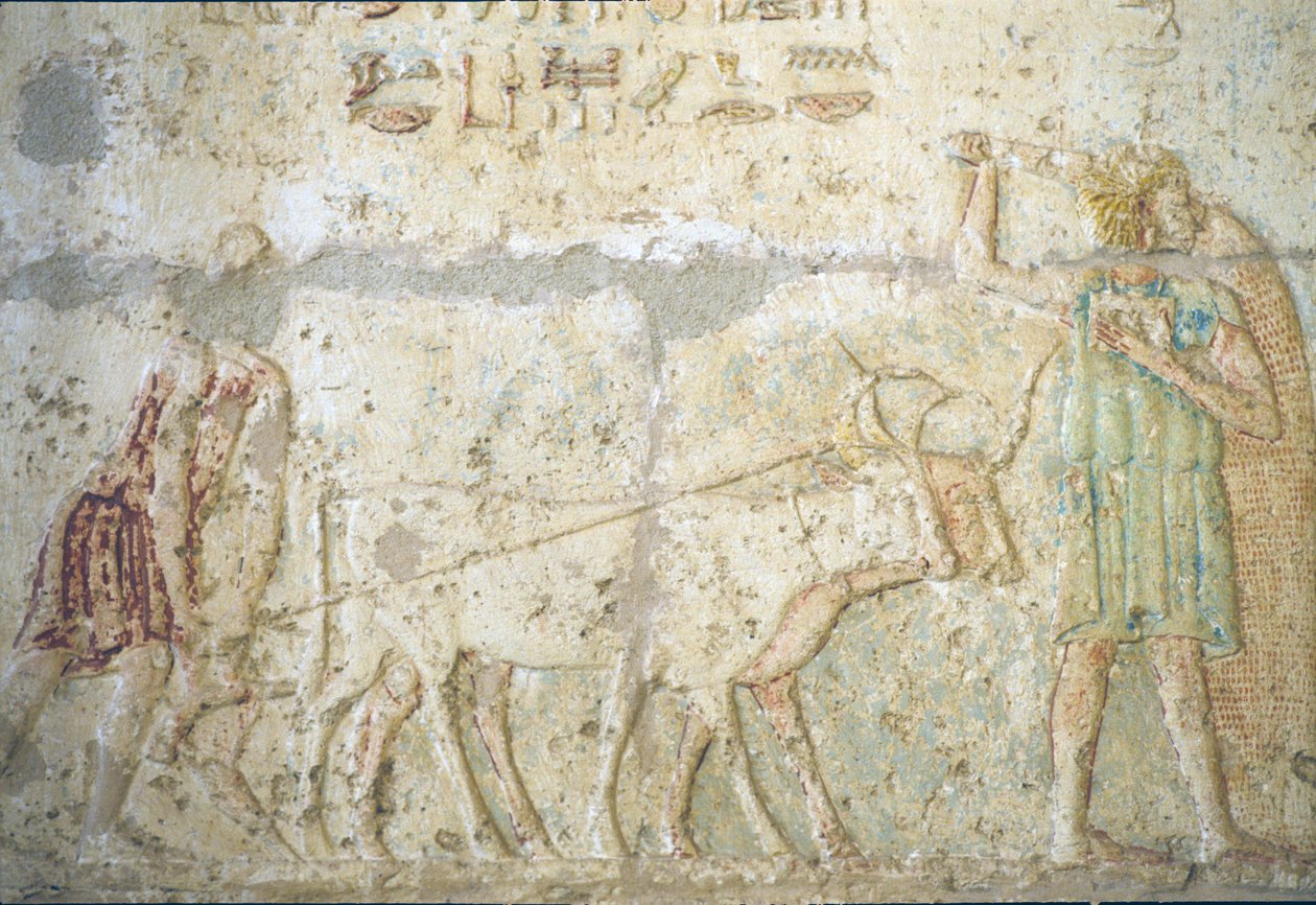 古代エジプト、壁の彫刻／絵画、ペトシリスの墓、トゥナ・エル・ゲベル
