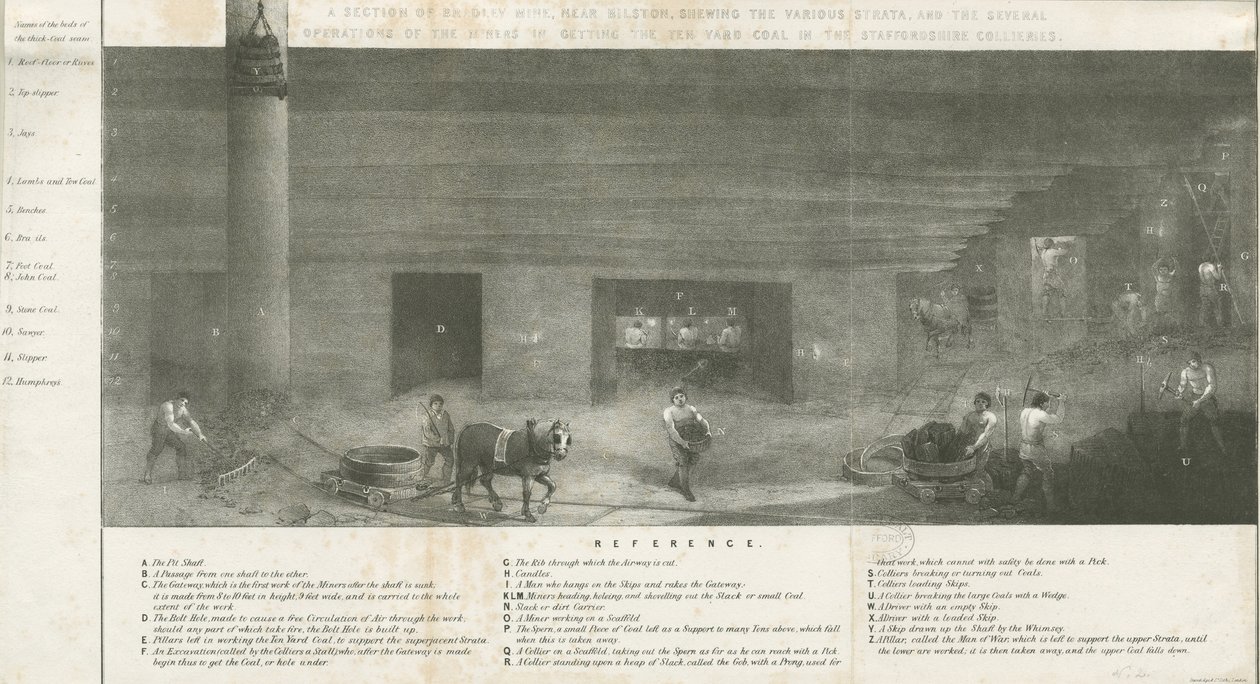 Bilston - a section of Bradley Mine: lithograph, nd [?19世紀] (print) 作： 学校英語