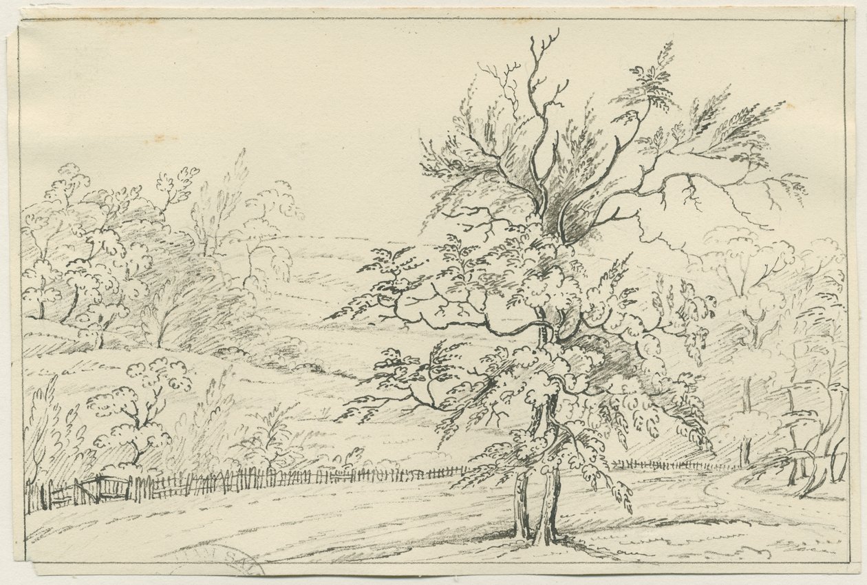 Cannock Chase: pen and pencil drawing, nd [?19 cent] (drawing) 作： 学校英語