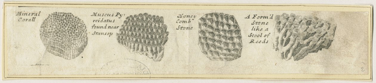 ドーブデール-ミネラルコーラル：銅版画、ND（?19世紀）（プリント 作： 学校英語