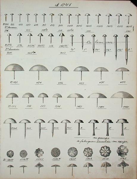 釘、鋲、ピン、家庭用品と付属品のトレードカタログより、1890年から1910年頃（リトグラフ） 作： 学校英語